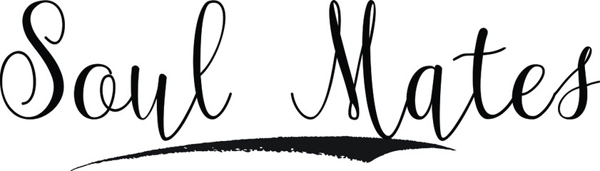 Soul Mates Cursive calligraphy Black Color Text On 
White Background
