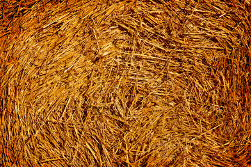 Hay texture background