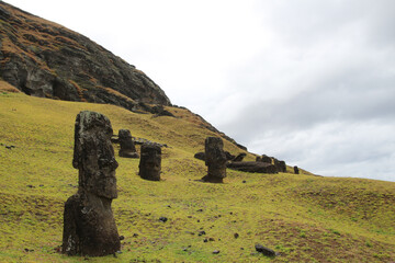 Moai at Rano Raraku - the Moai factory on Easter Island, Chile