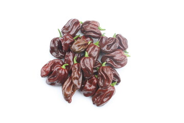 Habanero Chili. Habanero Chocolate.