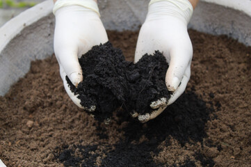 Hand stirring the earth to plant flowers in a pot