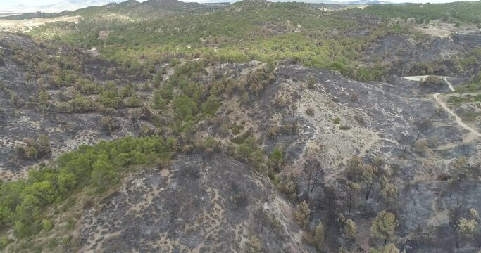 Bosque mediterr&aacute;neo quemado drone