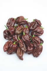 Habanero Chili. Habanero Chocolate.