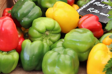 Green, red and yellow organic peppers at market