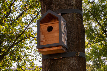 Birdhouse hanged by protective stripes on tree in pocket park in Cracow