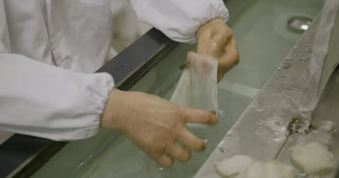 Silk of cocoon being stretched out.