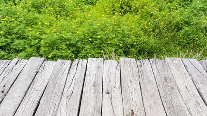 Old wooden floor with yellow cosmos flower fields as a backdrop