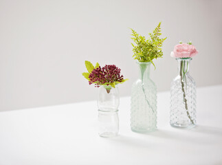 flowers in vase
