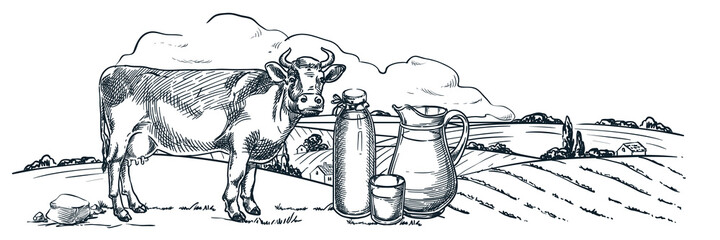 Milchfarm, Milchprodukte, handgezeichnete Skizzenvektorillustration. Kuh, Flasche, Glaskrug auf Feldlandschaftshintergrund © Qualit Design
