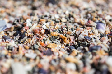 Small sea pebbles and shells in close-up. Natural background.