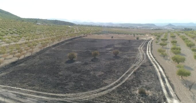 Zona de cultivo quemada 