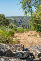 Lands overlooking rivern canyon