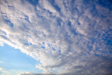 Cirrocumulus clouds in long rows high in the sky