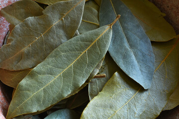 A close up image of dried bay leaves in a hand made pottery bowl. 
