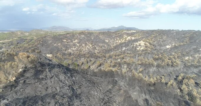 Incendio forestal Mediterr&aacute;neo 4k