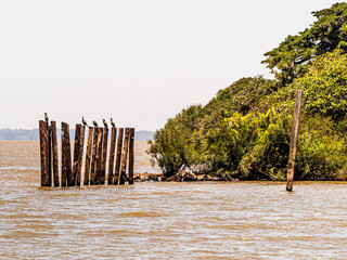 Guaíba fence