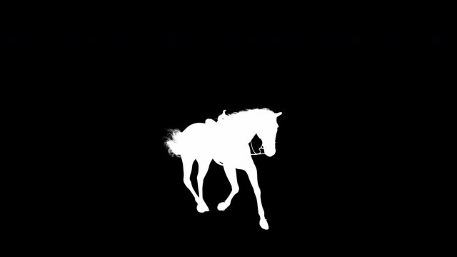 3D Stallion Horse Canter Animation Silhouette as lossless HD PNG + Alpha channel