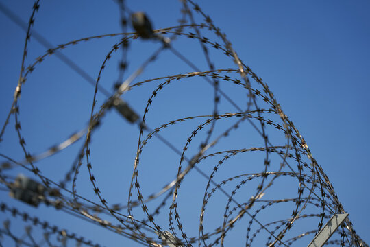 A close up shot from a barbed wire ( Nato fence ). isolated on blue. Germany.