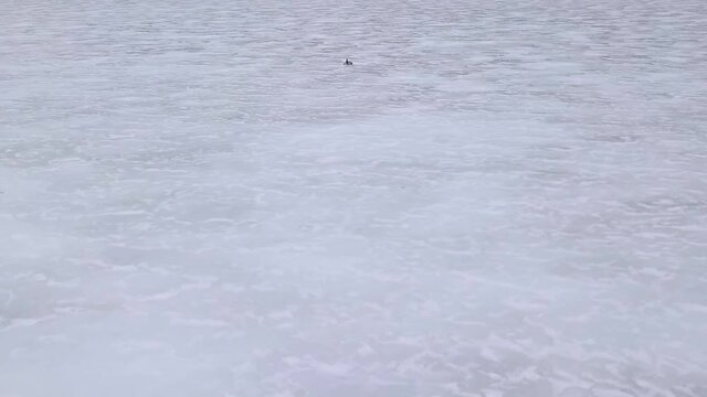 A snowmobile glides across the ice of Fitzgerald Pond, Maine. With only ice visible it feels infinite.