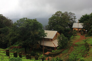 Rainy day with fog and greenery, Matheran, smallest hill station in India, Maharashtra