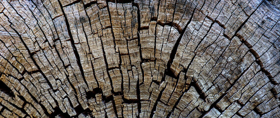 Old cracked wooden texture wallpaper