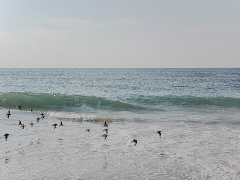 Rockaway Beach, New York. View of the ocean.  Panoramic beach landscape. Empty tropical beach and seascape. soft sand, calmness, tranquil relaxing sunlight