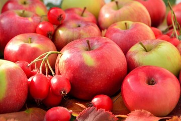 Fresh ripe red,yellow apples with hawthorn berries close-up.