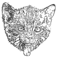 cute cat unisex tie dye design design animals coloring book animals vector illustration