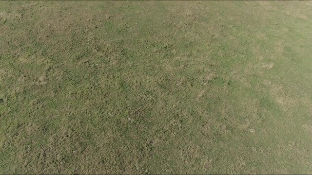 Tracking a parched patch of grass in a drought season within England. Devon Field