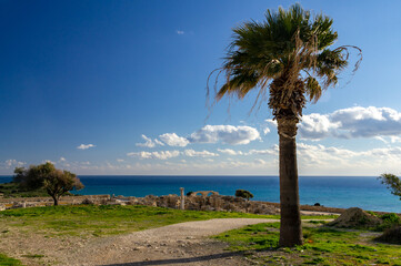 Fototapeta na wymiar Palm tree with ancient ruins and beautiful see view 