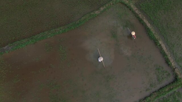 Top down shot and fly up farmers working on their field