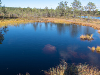 Viru bogs at Lahemaa national park