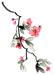 Obraz na płótnie Canvas Blossom sakura tree branch