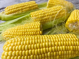 Close-up of ripe raw corn swings on an abstract wooden surface.The concept of proper healthy nutrition, agriculture.
