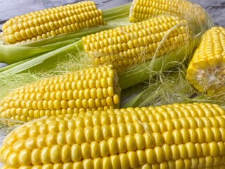 Close-up of ripe raw corn swings on an abstract wooden surface.The concept of proper healthy nutrition, agriculture.