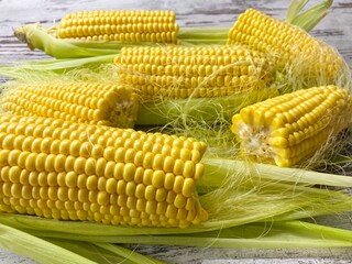 Close-up of ripe raw corn swings on an abstract wooden surface.The concept of proper healthy nutrition, agriculture.