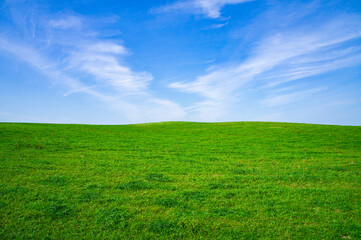 Beautiful summer bright green meadow and field with blue sky. Empty landscape