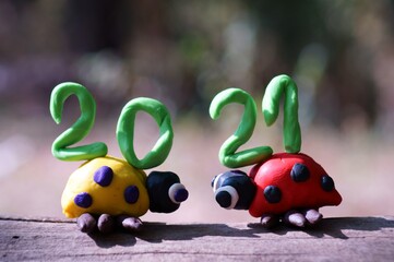 Figures of two ladybirds on a colored background. Next to the number 2021.