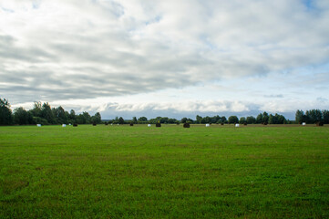 Nice view of the field with haystacks in sustainable packaging