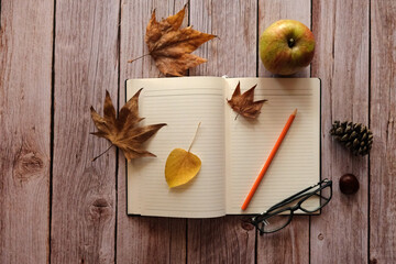 autumn still life with apples and notebook