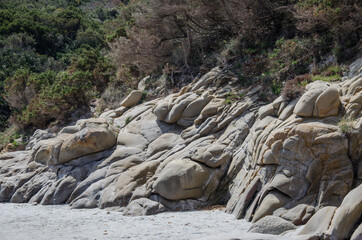 Macchia auf Sardinien