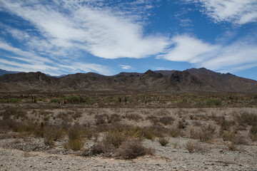 Desolated landscape. View of the arid desert, sand, flora and mountains under a beautiful blue sky...