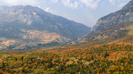 Autumn in the rocky mountains