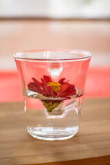 Beautiful red flower in a transparent glass with water on a wooden background close-up.
