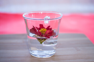 Beautiful red flower in a transparent glass with water on a wooden background close-up.