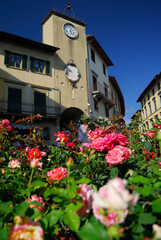 Rose Festival Piazza Pierozzi in San Casciano in Val di Pesa Tuscany Italy