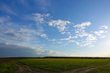 Green field,blue sky and sun.
