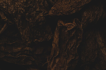 Macro close up portrait of Mexican chipotle chile