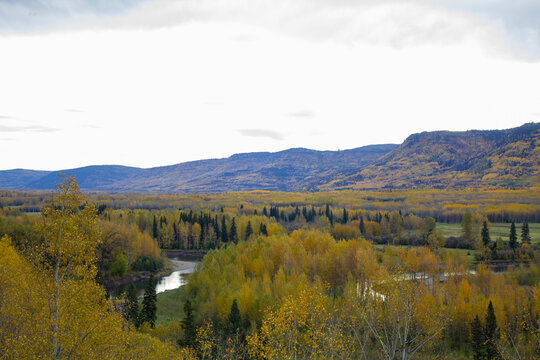 Autumn in Pine River Pine Pass BC Canada