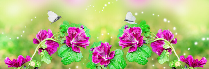 Delicate floral background with butterflies and pink flowers. Selective focus.Beautiful artistic natural background.Panorama